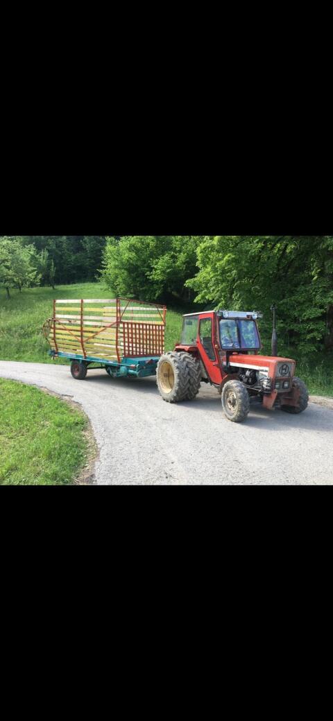 Steyr Hamster Plus 17