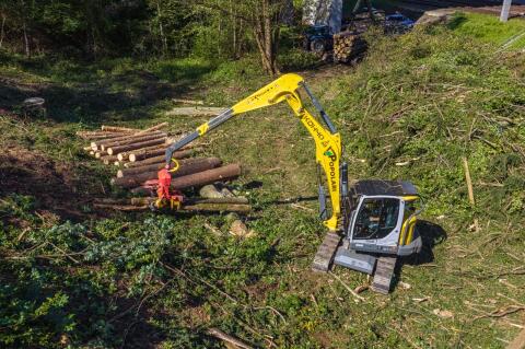 Forstarbeiter gesucht