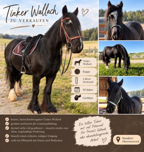 Tinker-Wallach