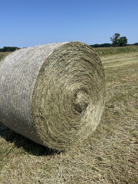Heu, Siloballen