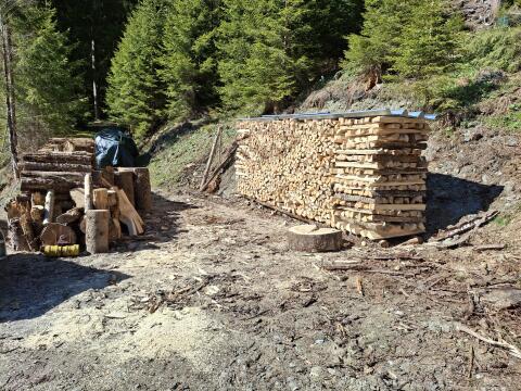 Brennholz Fichte, trocken