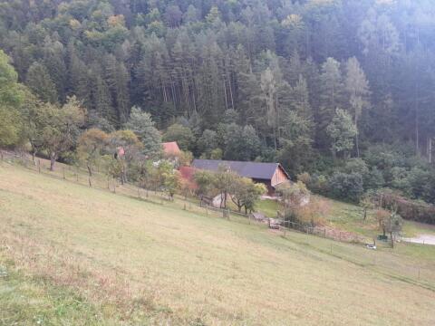 Bauernhof in ruhiger Einzellage zu vermieten