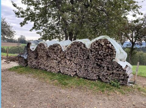 Brennholz