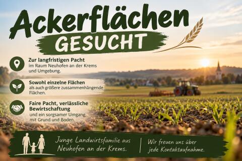 Acker-Pachtflächen gesucht, Junglndw. Neuhofen a. d. Krems