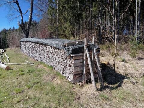Buchenholz, trocken