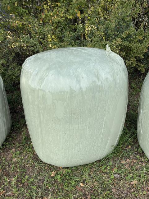 Silageballen