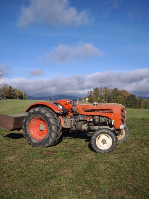 Steyr 290