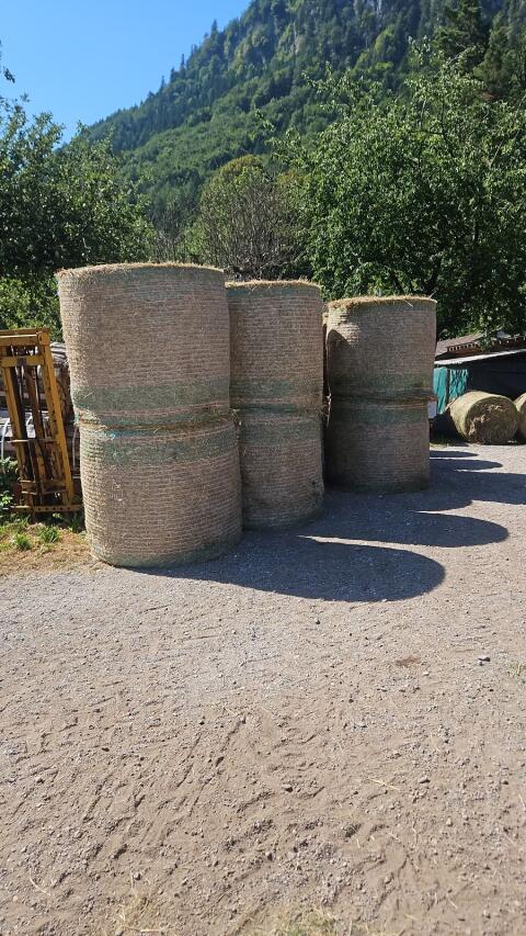 Bio-Heuballen 2. Schnitt