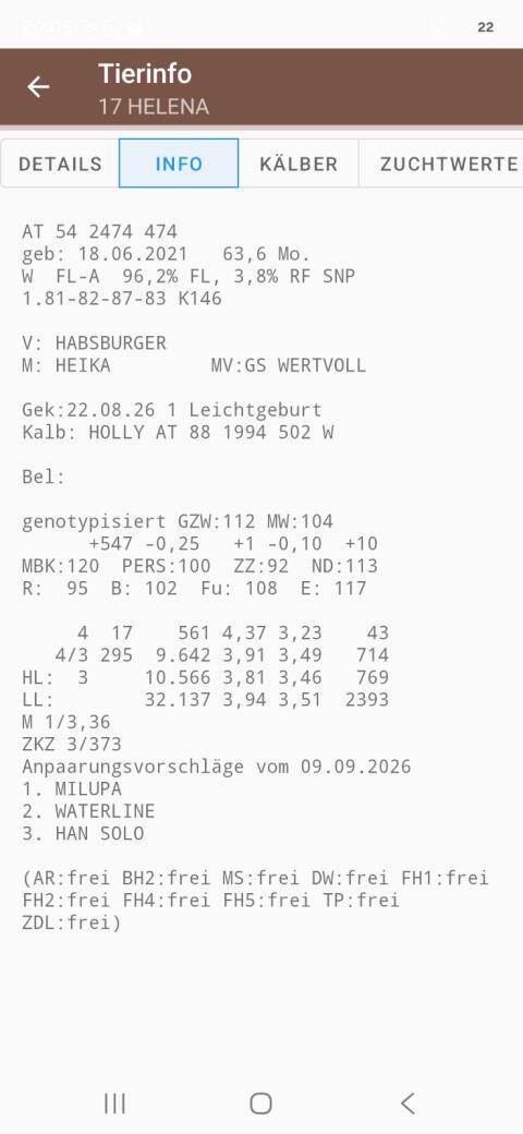 Verkaufe Fleckvieh-Zuchtstier