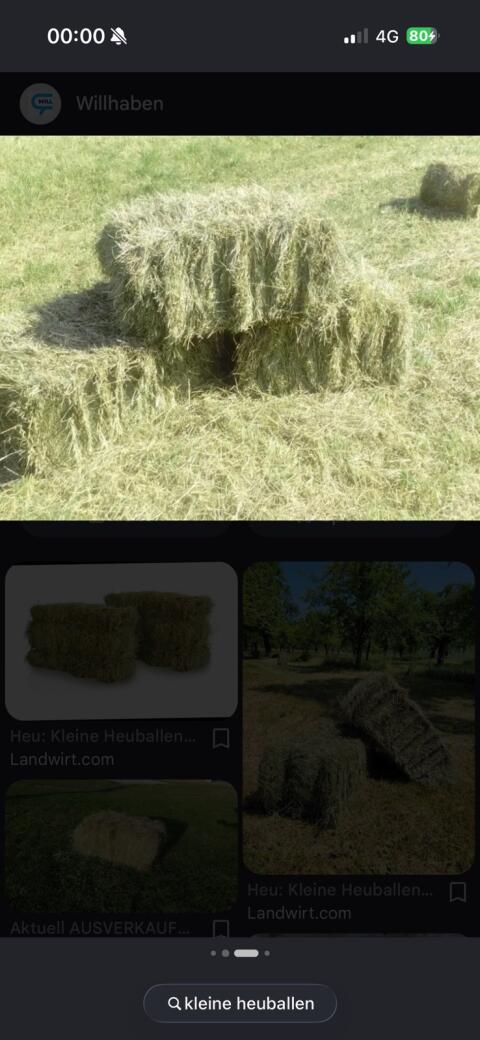Suche kleine Heuballen für Ziegen