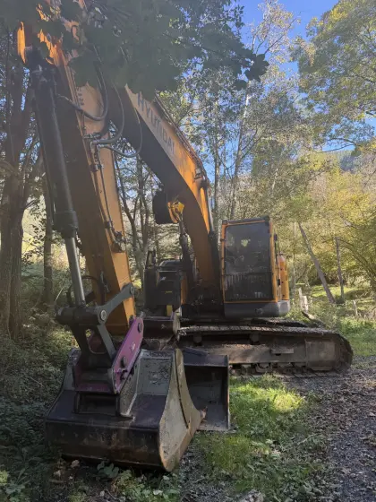 Prozessorbagger mit Woody H61 Hyundai HX 235