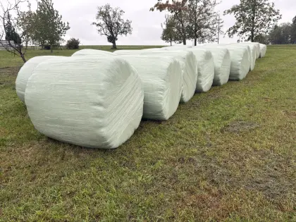 Silageballen Gras