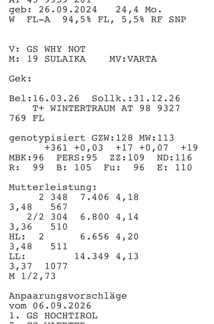 Verkaufe Zuchtbiokalbinnen.