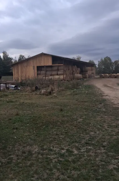 Heu, Silage und Weizenstroh zu verkaufen, Lieferung möglich