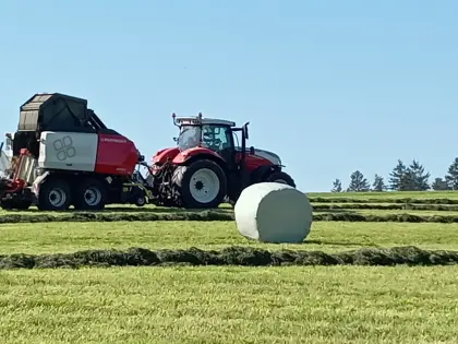 Silageballen
