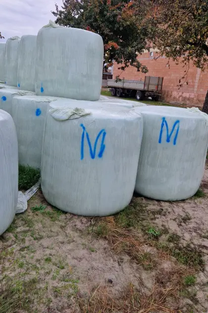 Maisballen