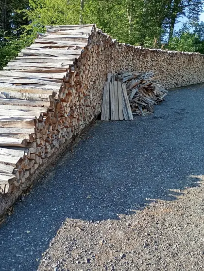 Buchenholz zu verkaufen.