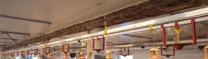 1x Futterbahn und 1x Tränkebahn Hühner, Puten, Geflügel