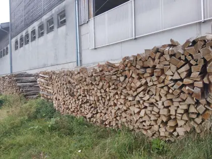 Brennholz, hart