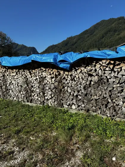 Hartholz gemischt zu verkaufen