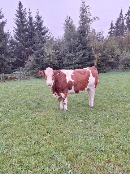 Kalbin Bio