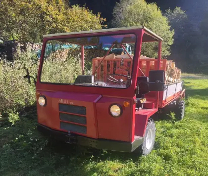 Schlepper Aebi TP35