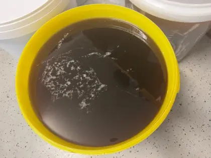 100 kg Waldhonig im Hobbock zu verkaufen