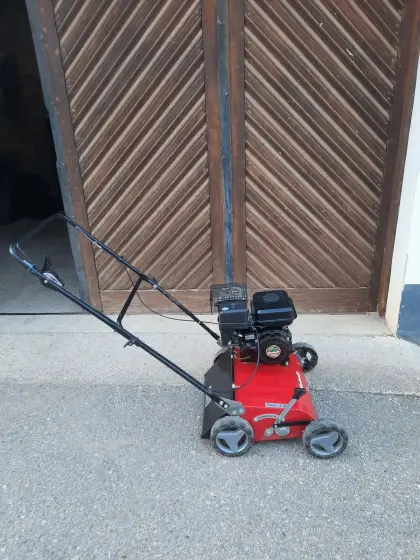 Vertikutierer mit Fangkorb Einhell