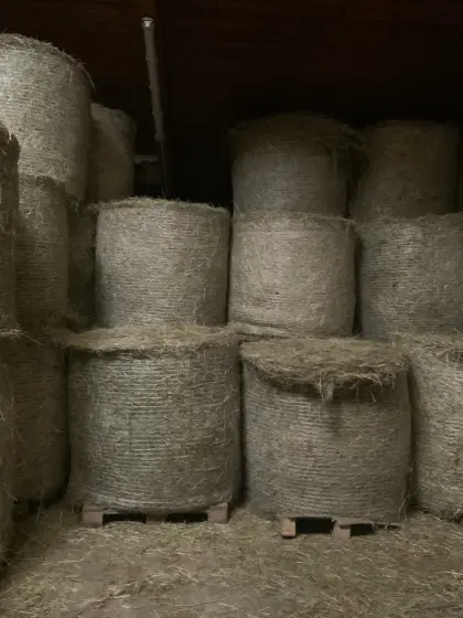 Heuballen, 1. Schnitt, ideal für Pferde, Bioland zertifizi