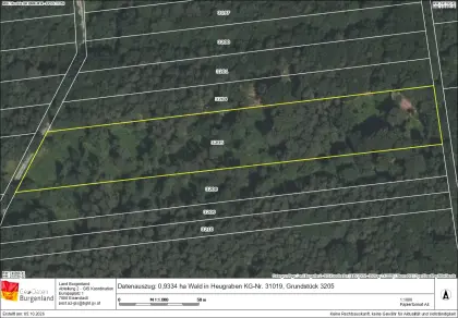 0,9334 ha Wald in Heugraben