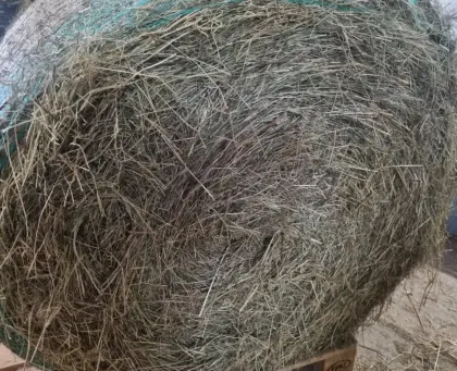 Heu-Rundballen von Acker-Biodiversitätsflächen