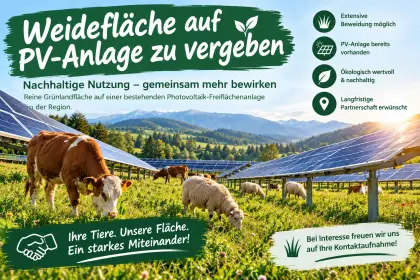 [Zu vergeben] Weidefläche auf PV-Freifläche
