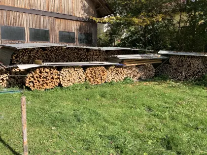 Brennholz, trocken und ofenfertig zu verkaufen