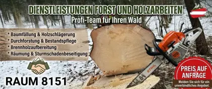 Holzschlägerung aller Art