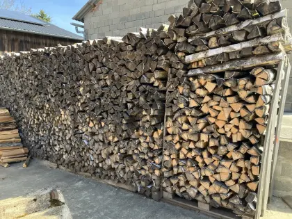 Birkenbrennholz