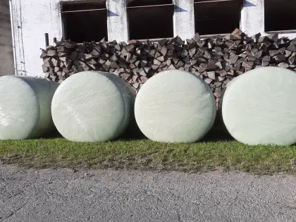 Silomaisballen