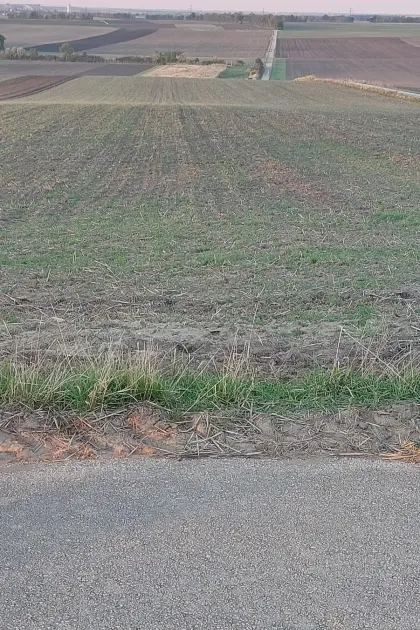 Landwirtschaftliche Liegenschaft
