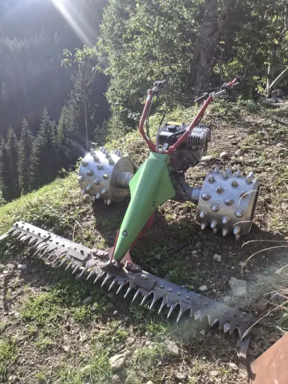 Rapid Rex