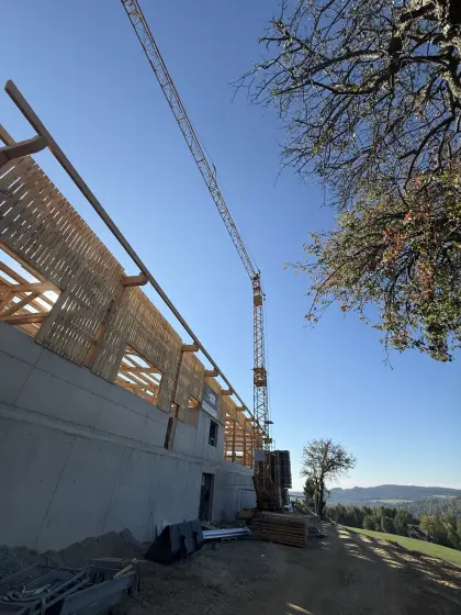 Turmdrehkran Liebherr 35K