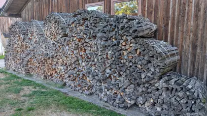 Brennholz, Scheitholz, trocken