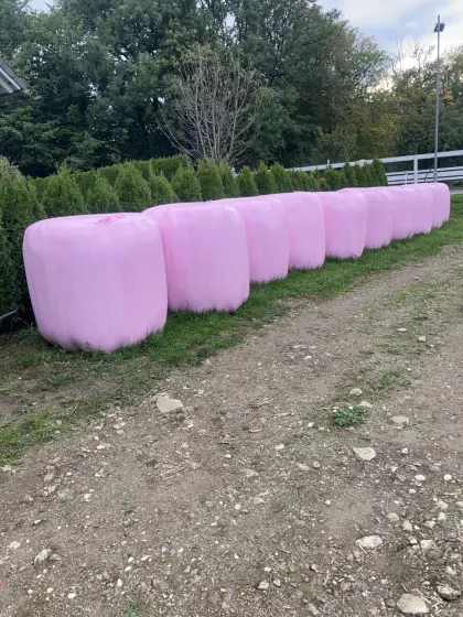Silageballen