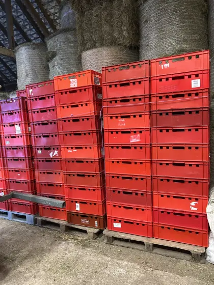 Rote Fleischkisten