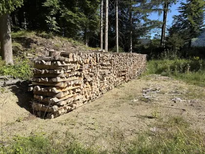 Brennholz 1 m Scheiter
