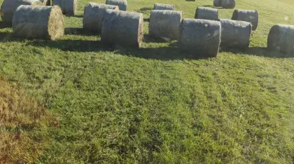 Silageballen, Ernte 3. Schnitt 2026