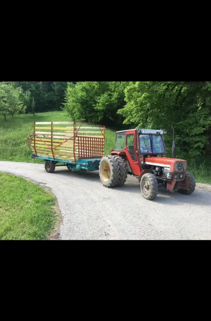 Steyr Hamster Plus 17
