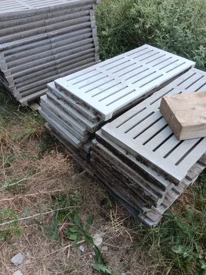 Schweineaufstallung