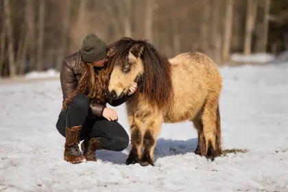 Mini-Pony-Stute
