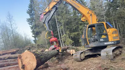 Prozessorbagger mit Woody H61 Hyundai HX 235