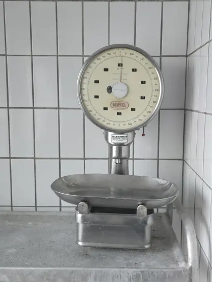 Original Berkel, Bizerba Vintage Neigungswaage 10 kg – Prof (Armin Wirth)