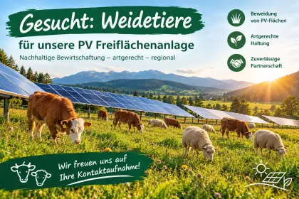 [Suche] Weidetiere für PV-Freifläche